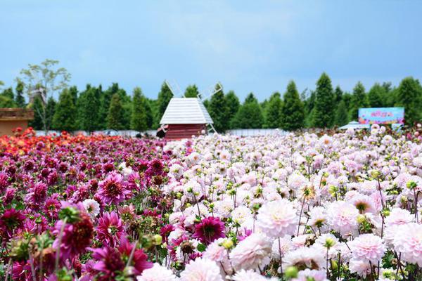 卓越监控库