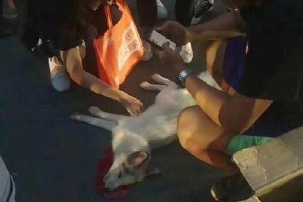 全能设计系统