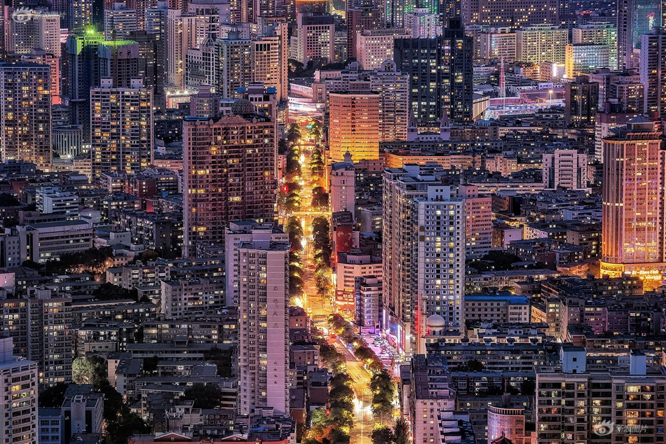 维度直播截图0