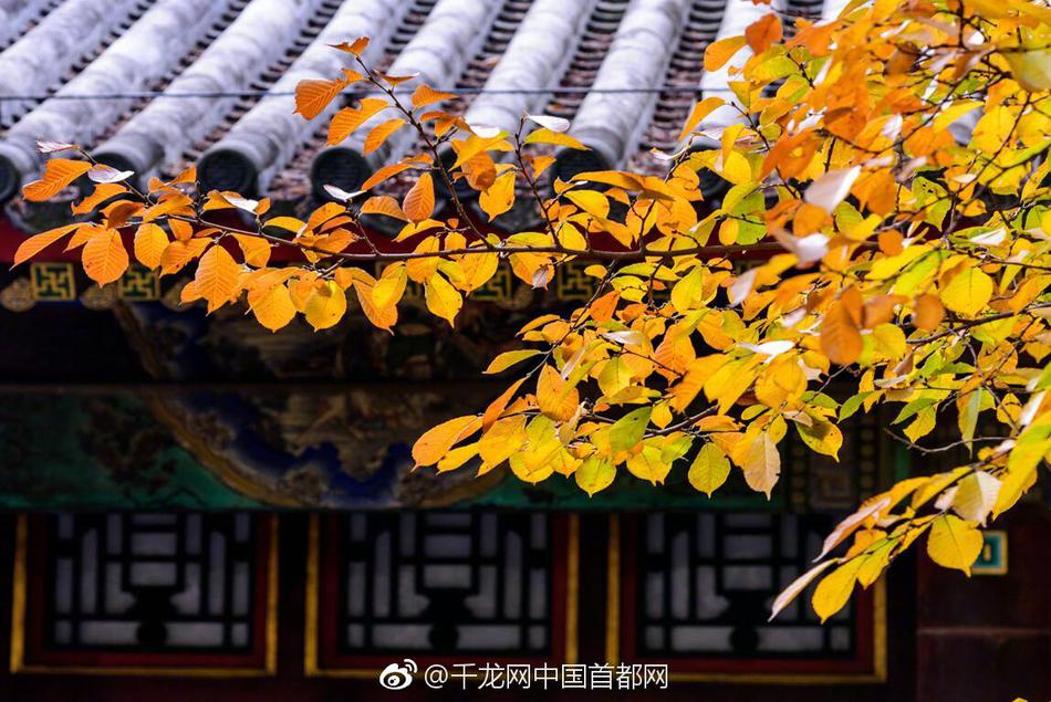 网易编辑工具