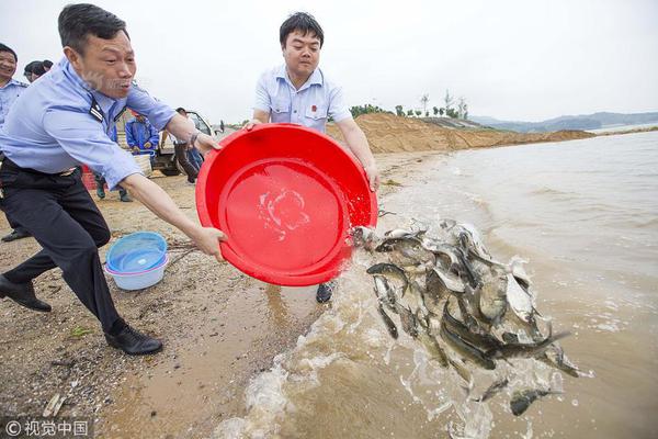 超级跟踪框架