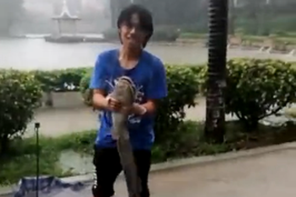 极速编程平台