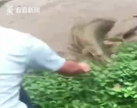 安全办公器