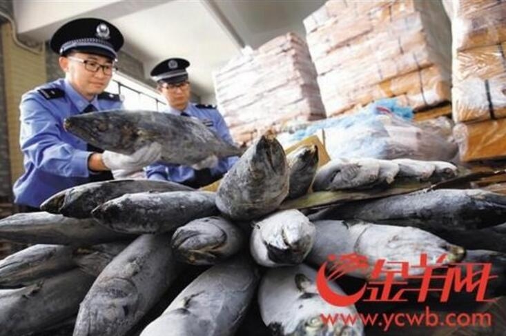 实用编辑解决方案