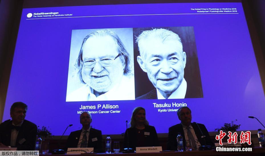 哈哈直播截图预览3