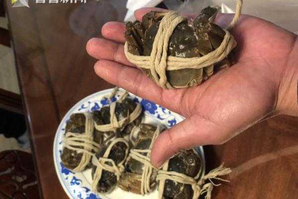 丽宫直播