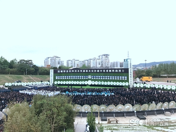 超级流媒体应用