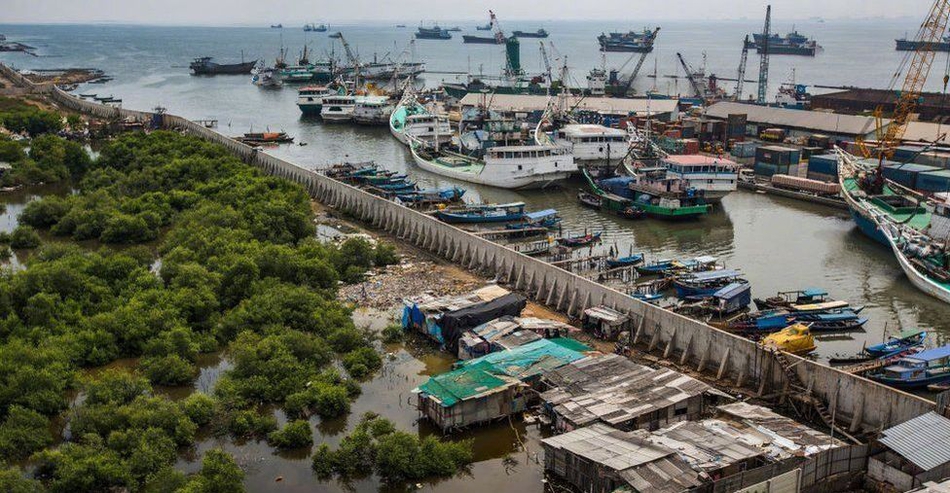 月色直播截图预览0