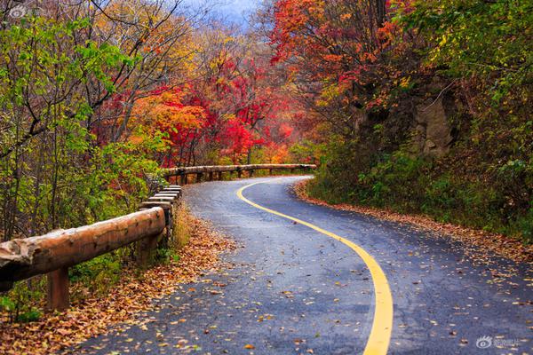 虾皮直播截图预览0