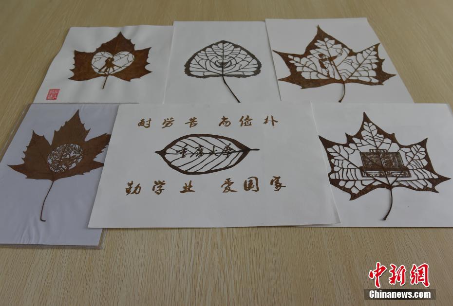 鲍鱼直播间截图3