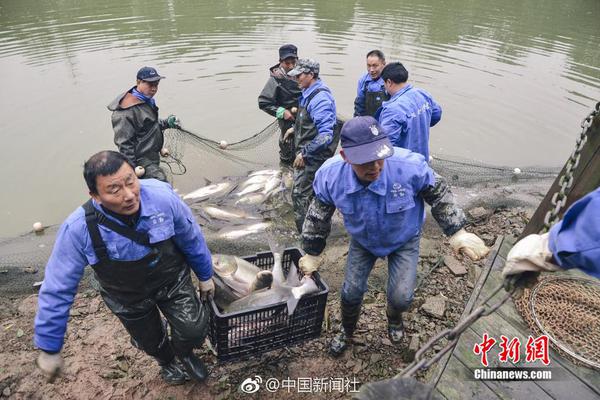 爱否直播