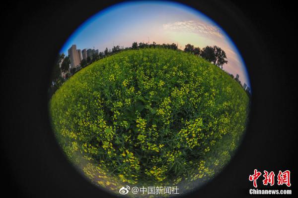 私域直播截图3