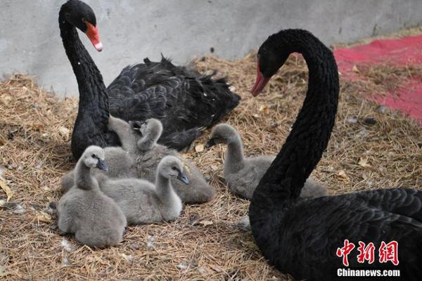 温静直播截图2