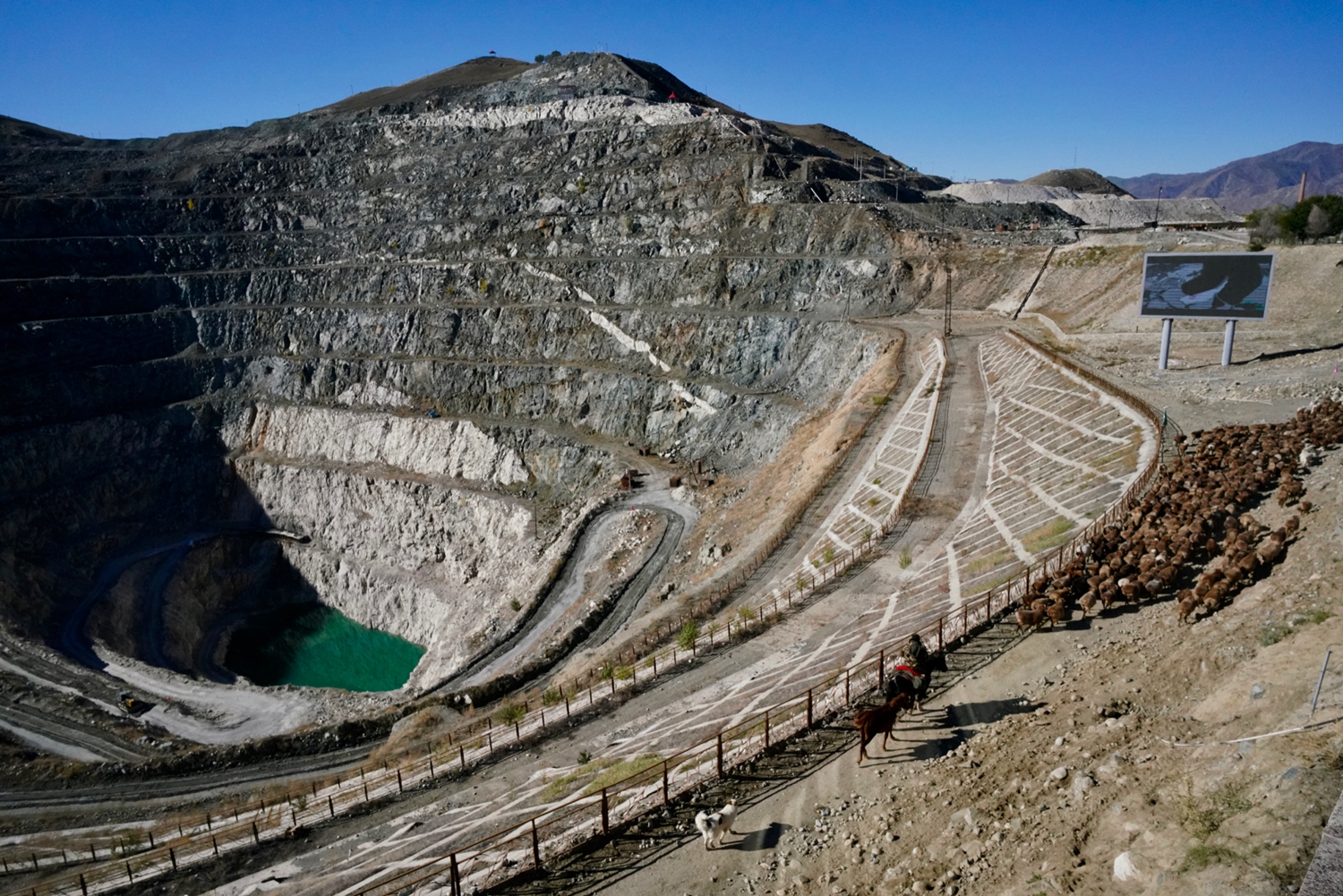 鲍鱼直播二维码图片截图预览1