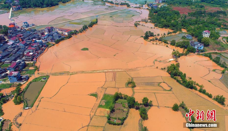 虾皮直播截图预览2