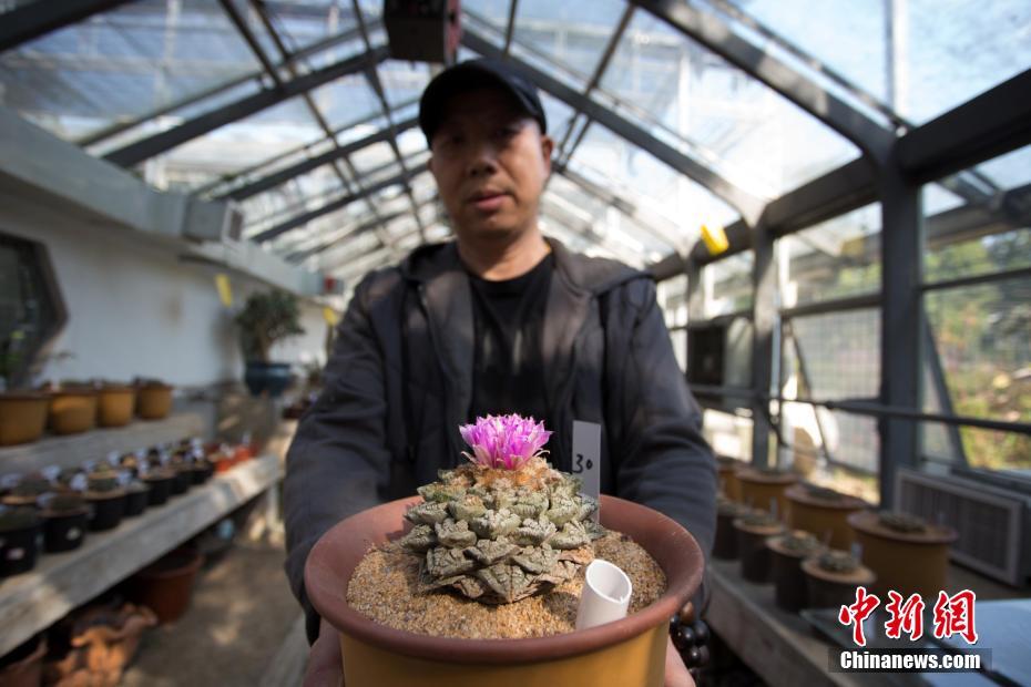 这季后赛强度?纳斯因不满判罚拍伤手指 下半场一度无法执教-