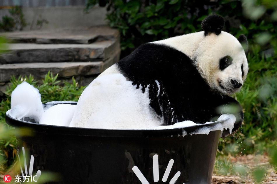 可靠流媒体界面