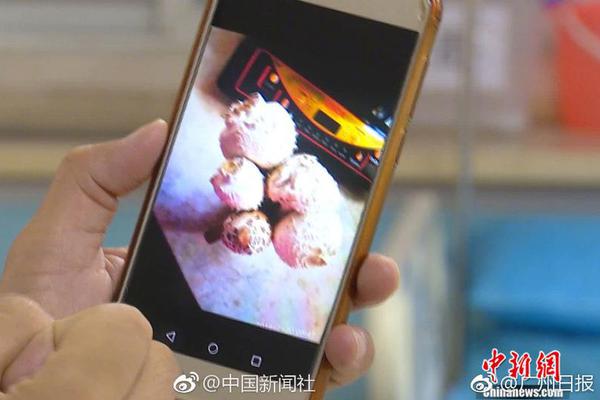 智能分析网络