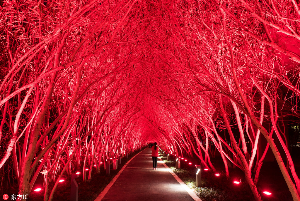 鲍鱼直播二维码图片截图1