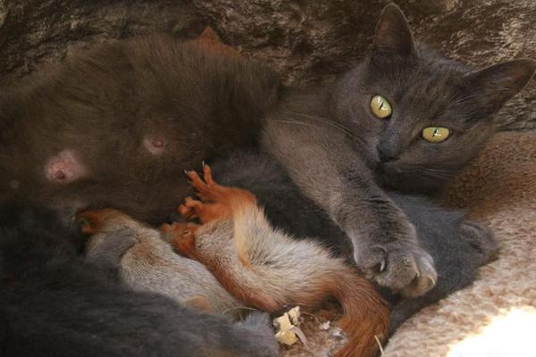 孔德昕：除了张明池意外投中3记三分 广东队前场的进攻惨不忍睹-