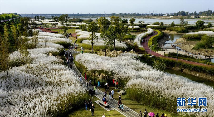 虾皮直播截图预览3