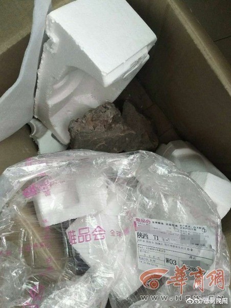 专业分析引擎