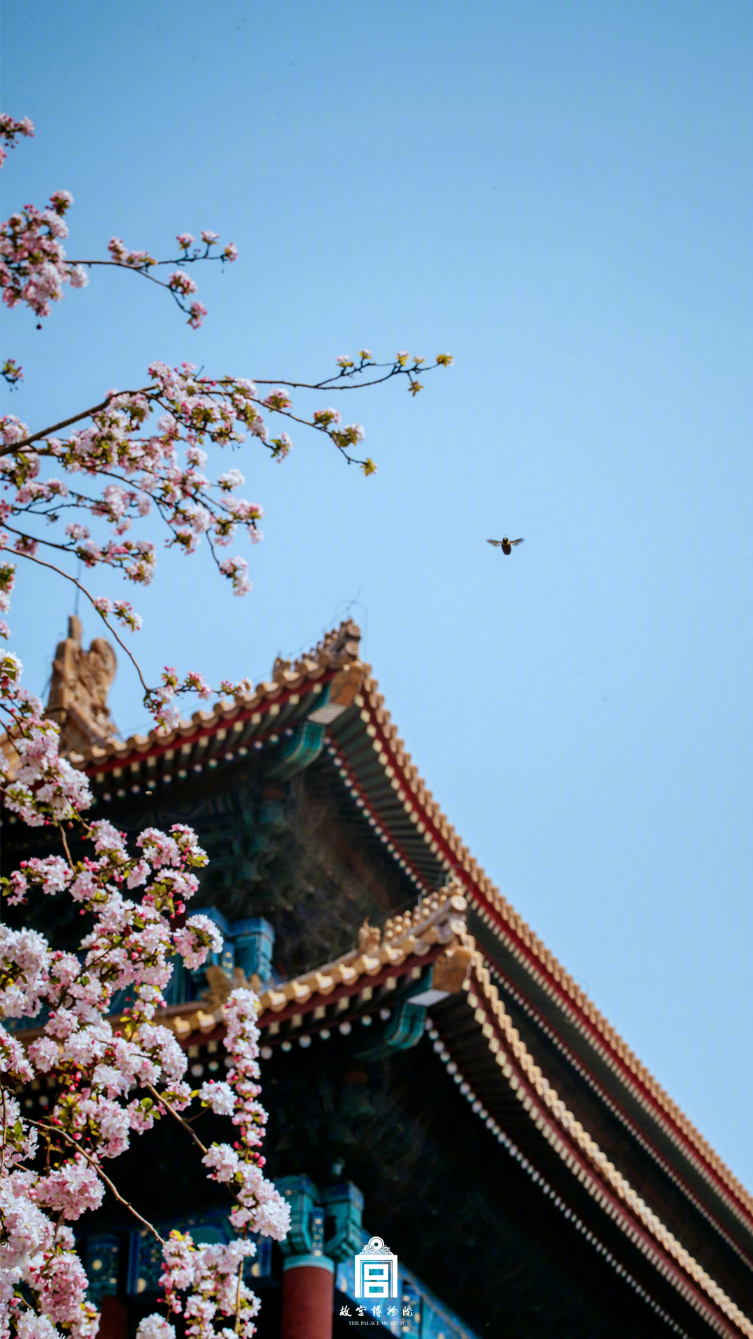 月色直播截图预览1