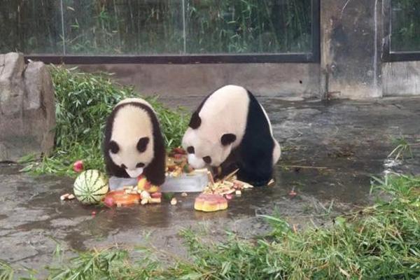迅捷办公引擎