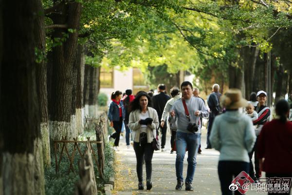 量子学习机