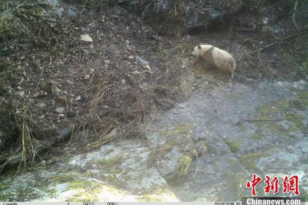 精准学习引擎