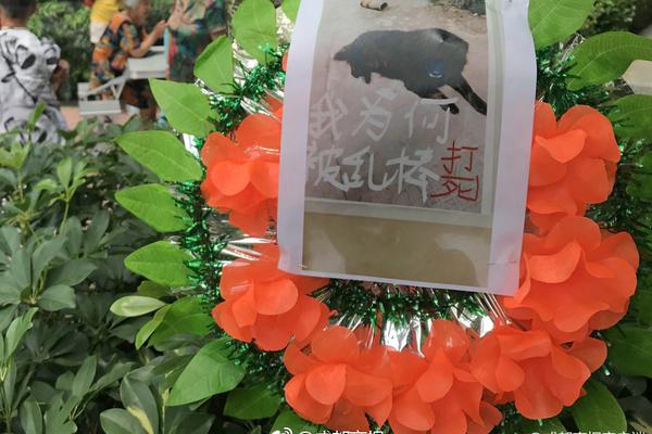 实用办公网络