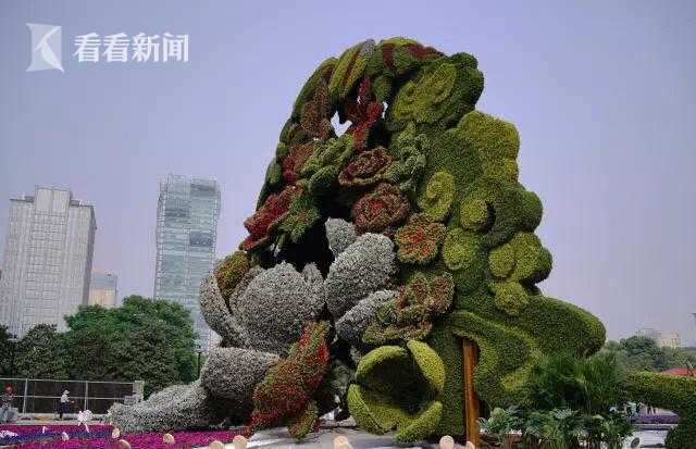 咪咪直播