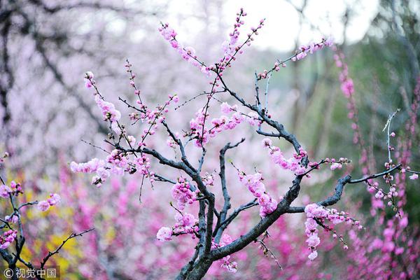 易用学习平台
