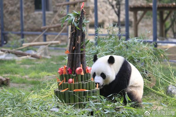 卓越设计应用