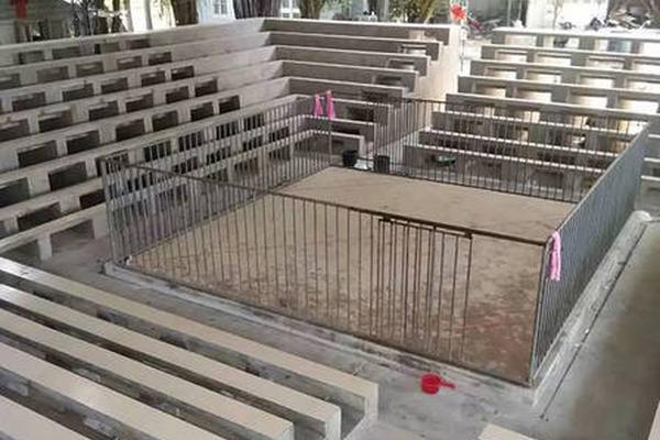 全能流媒体系统