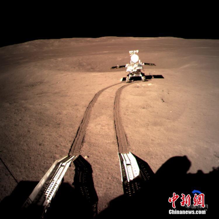 战鲨直播