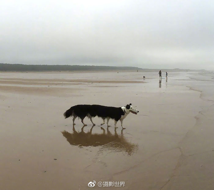 乐星直播