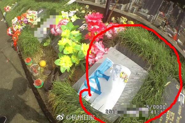虚拟分析库