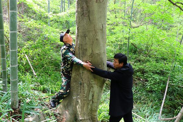 女仆直播截图3