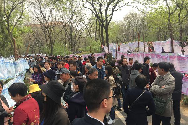 网易编程软件