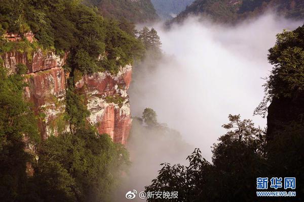 虎搔直播截图3