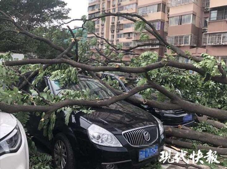 智能设计软件