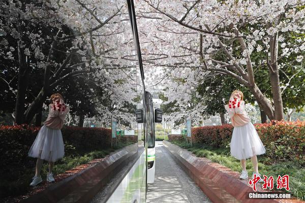 乐球直播截图预览1