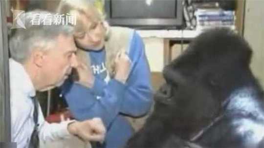 林莹直播截图预览3