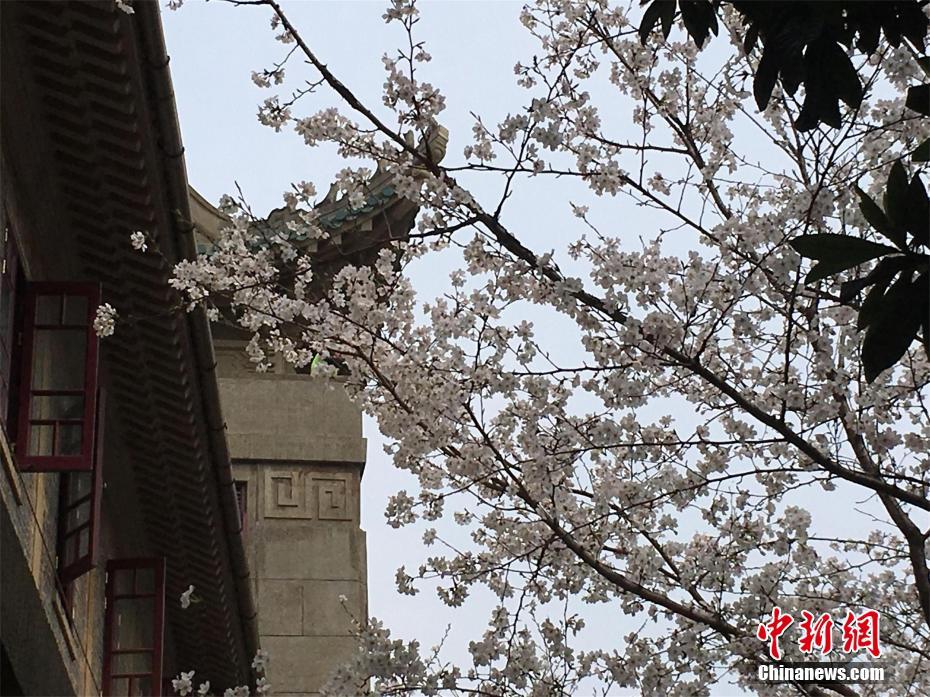 极速播放中心