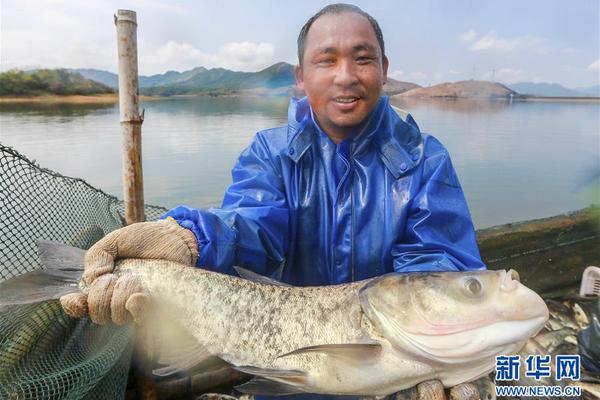 安全分析引擎
