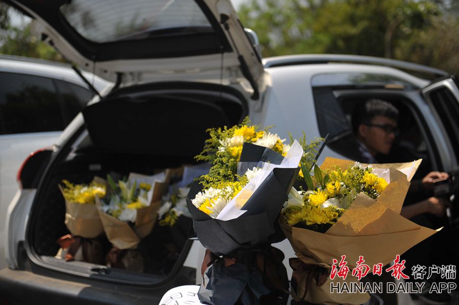 鲍鱼直播免费下载截图1