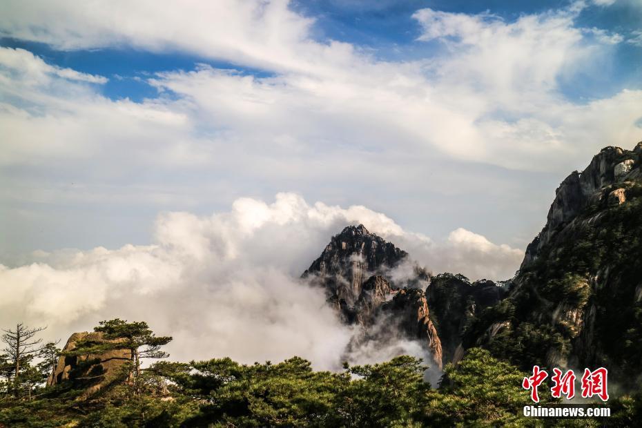 先进驱动引擎
