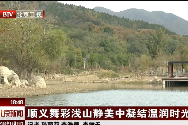 罗音直播