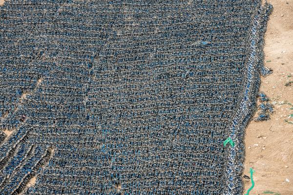 ?黄蜂美女主持亮相NBATV 惊艳一众球迷：这不比比赛好看？-